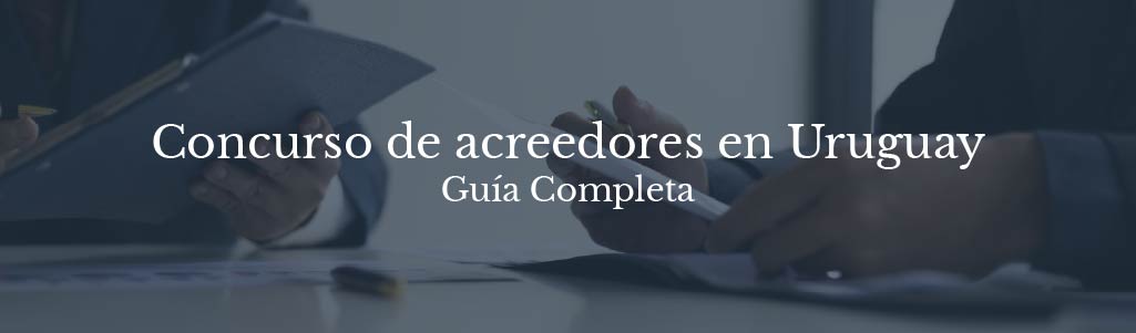 Proceso Concurso de Acreedores en Uruguay Guía Completa